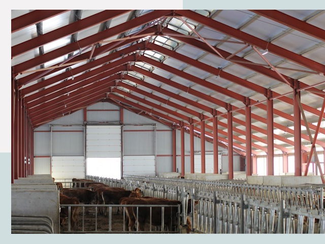 Строительство коровников в Куйбышеве